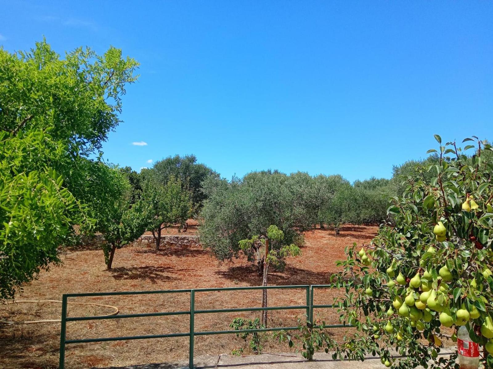 Villa Del Sole Specchiolla Exterior photo